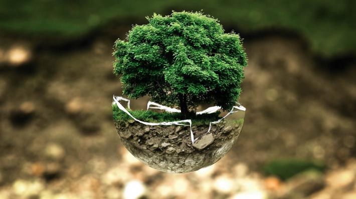 Earth Day - Tree