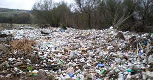 Plastics Strewn Through Environment