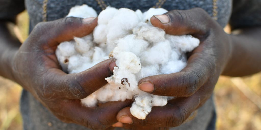 UN Alliance for Sustainable Fashion - Hands Holding Cotton