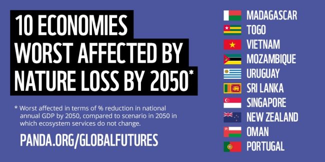 WWF Global Futures report
